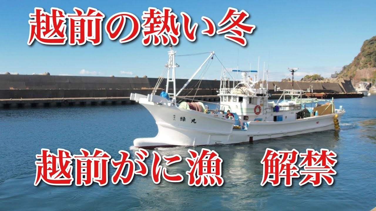 越前町に熱い冬がやってきた！越前がに漁解禁で漁師たちが動き出す！｜Echizen Crab Season Begins!