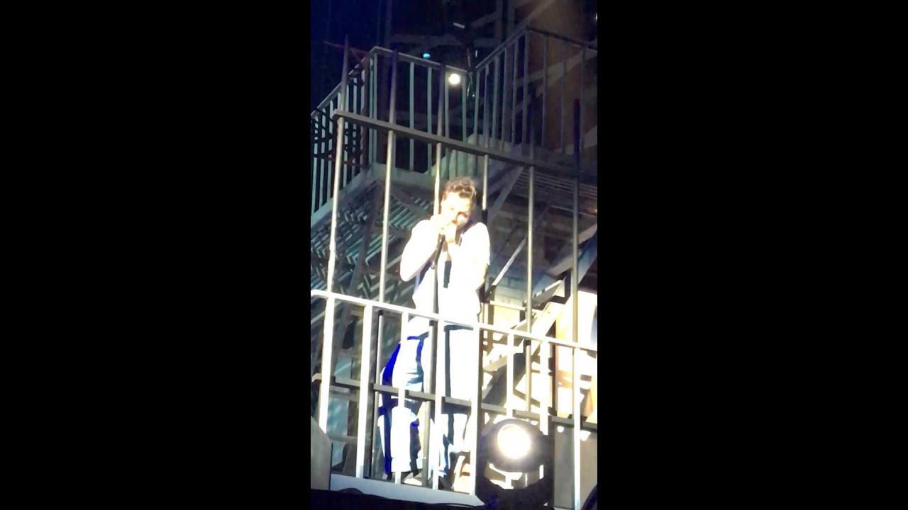 Christophe Mae harmonica enfoires 2016
