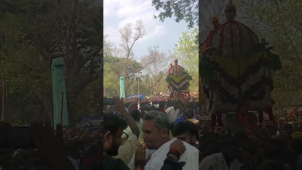 ಶ್ರೀ ಬಿಸಿಲಮ್ಮನವರ  ಮುದ್ದಿನ ಮಗ  ಸಿಡರಣ್ಣನವರ ಸಿಡಿ ಉತ್ಸವ_ 2023