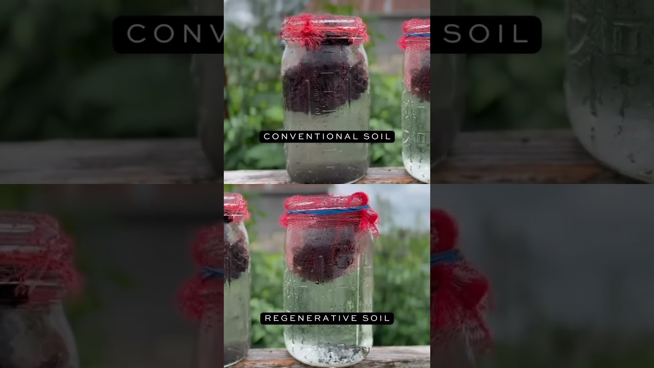 How water reacts in Regenerative Soil