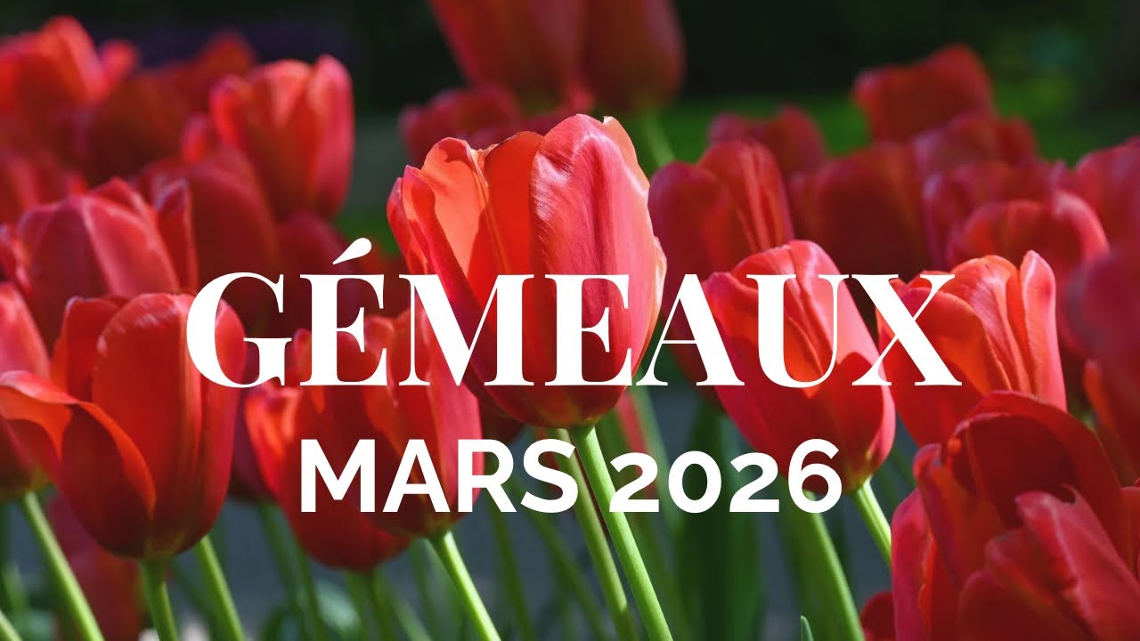 ♊️ G&Eacute;MEAUX MARS 2026 🔮 Une r&eacute;v&eacute;lation va tout changer !