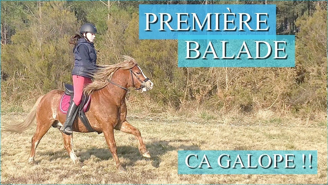 TOUS ENSEMBLE EN BALADE - Et premier galop