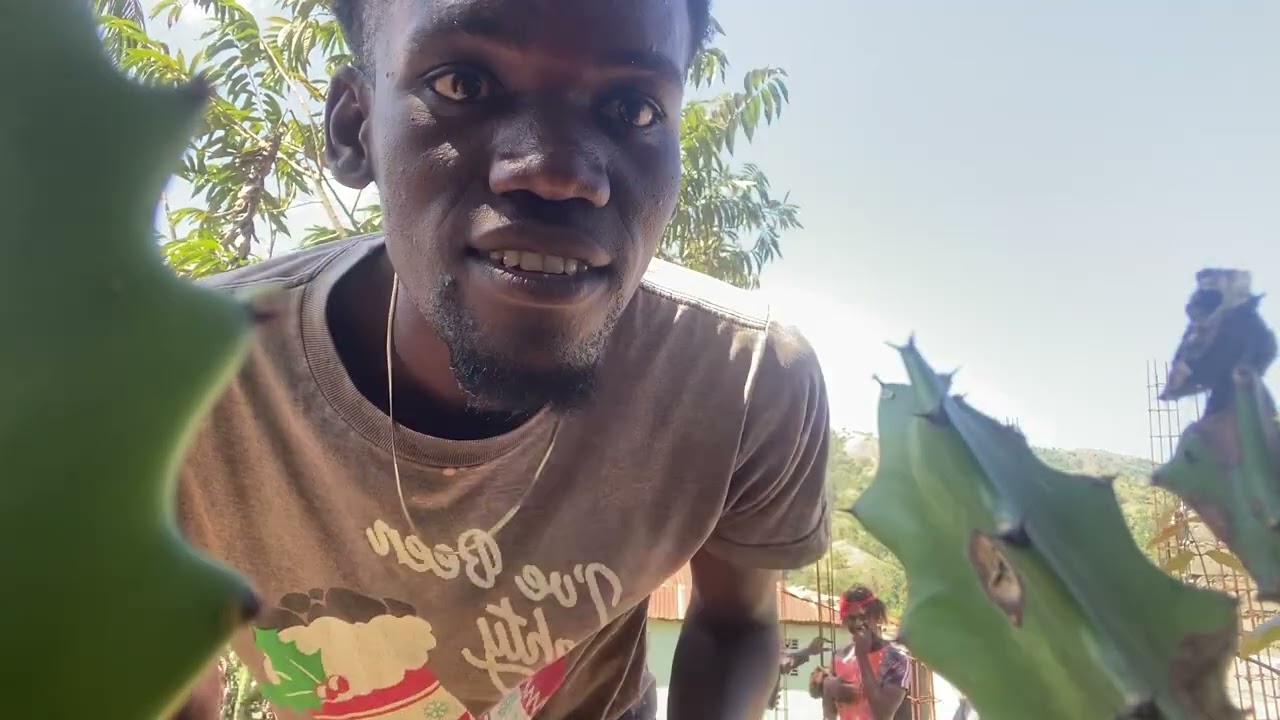 Prank,jodia fanmiy mwen prank Black vin gad kòman sa te ye
