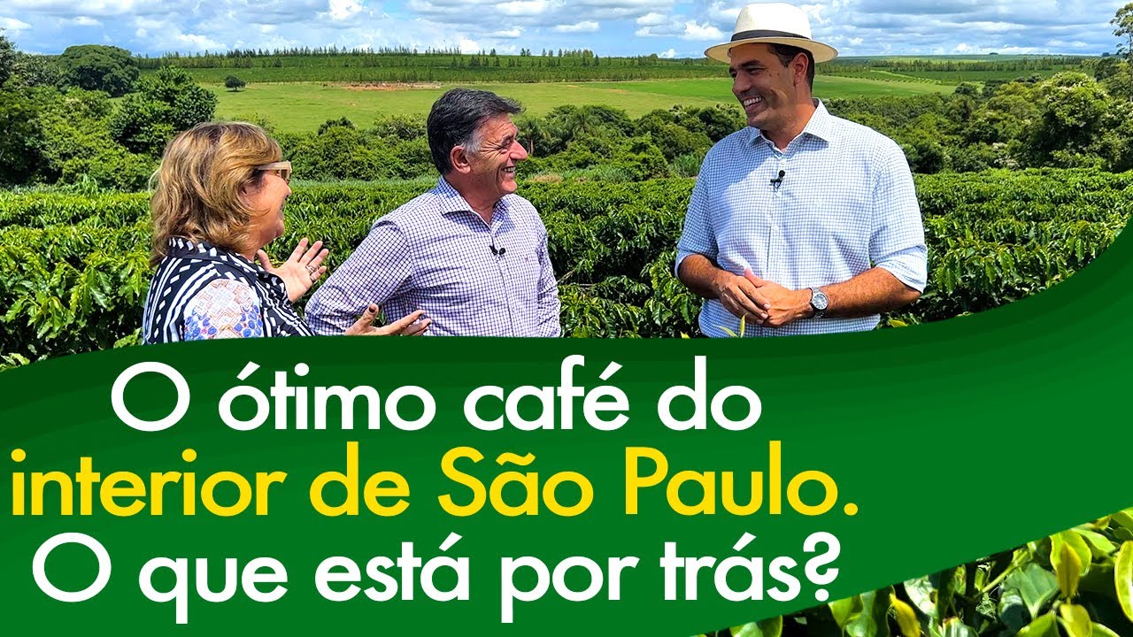 Uma Fazenda Administrada Como Uma Empresa! E a Vitória Contra o Nematoide! | No Pé do Café