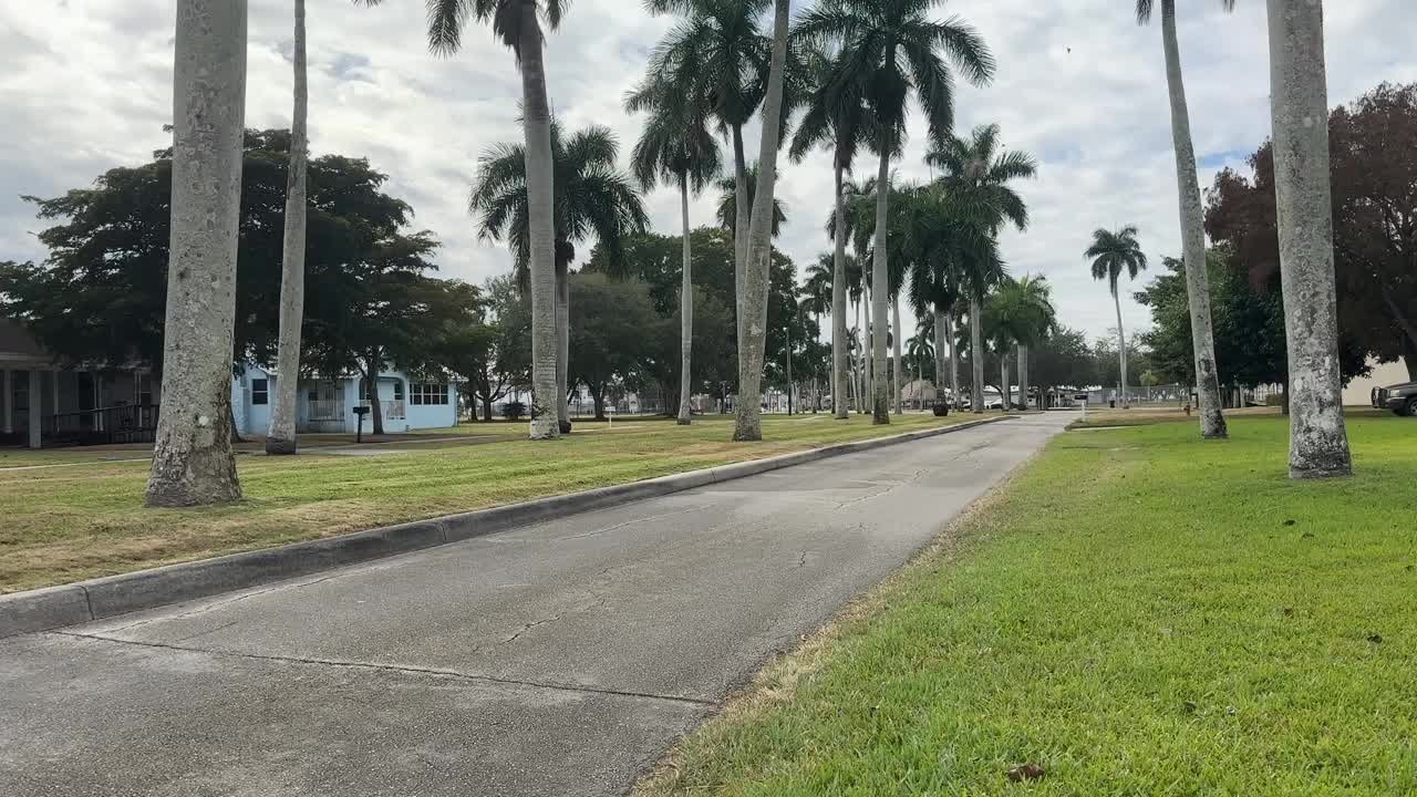 Clewiston cat owners are concerned about coyotes after recent attacks killed their pets