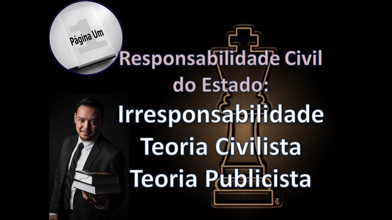 Irresponsabilidade, Teoria Civilista e Teoria Publicista da Responsabilidade Civil do Estado