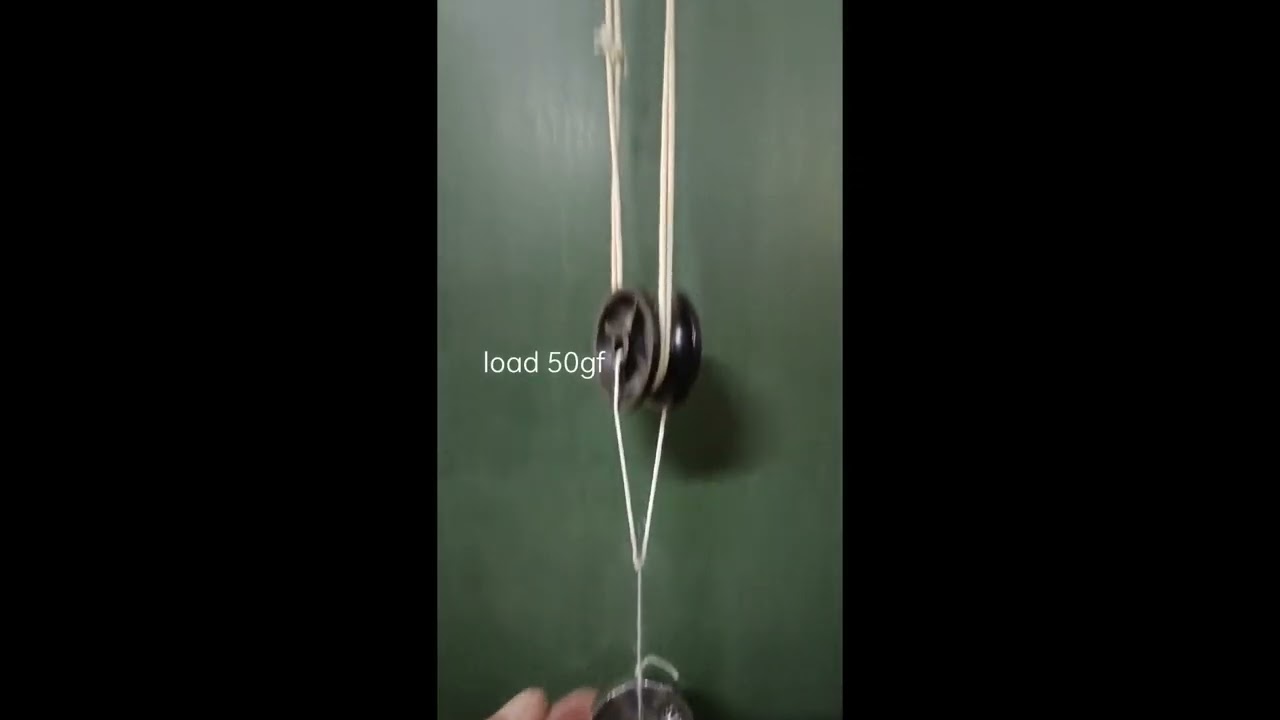 single movable pulley Load Effort relation Shorts Physics STD 10