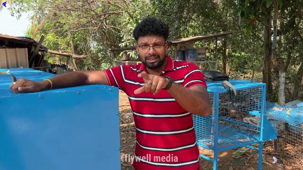 50 കോഴിയെ വളർത്തുമ്പോൾ കിട്ടുന്ന ലാഭം കണ്ടോ?