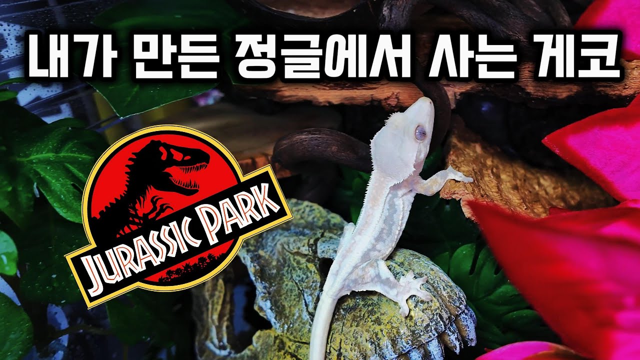백스크린 자체 제작하기 | 크레스티드 게코 사육장 만들기