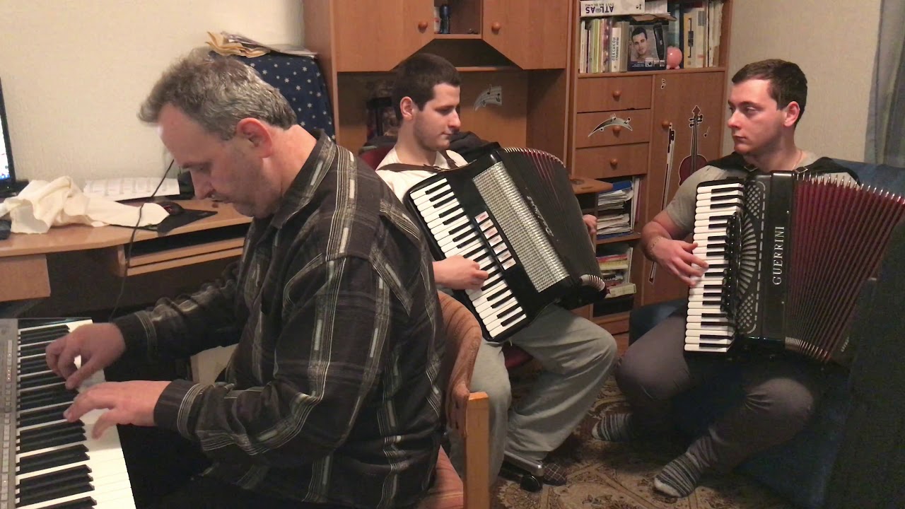 Paunovo kolo - Slobodan Bozinovic