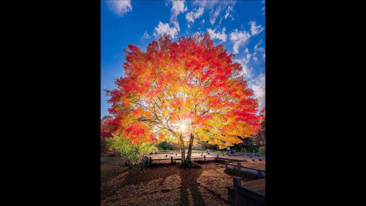 гр  Ирхо Хала хити дрьхна маре хьа    mp3