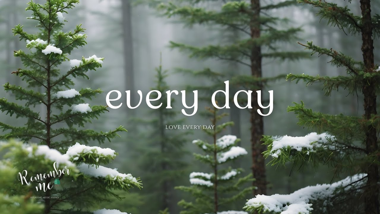 Love Every Day 🌲❄️ Relaxing Piano Music for Healing, Focus & Deep Peace