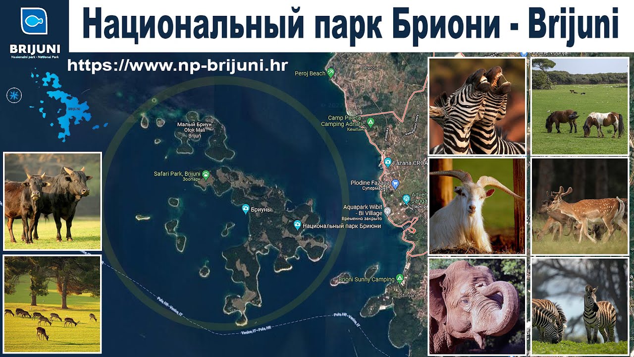Национальный парк Бриони, Хорватия  |  Brijuni National Park, Croatia
