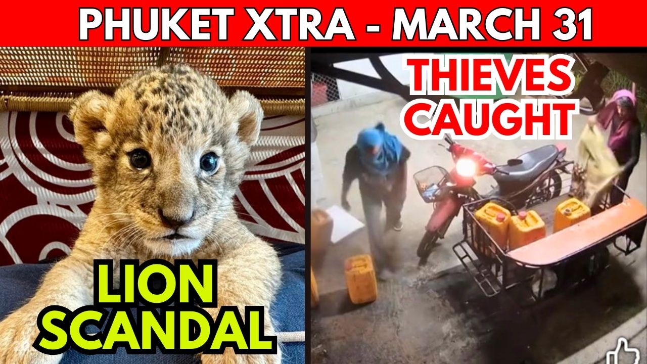 Lion Cafe Fights Back, Chalong Thieves Arrested, Digital Crackdown || Thailand News