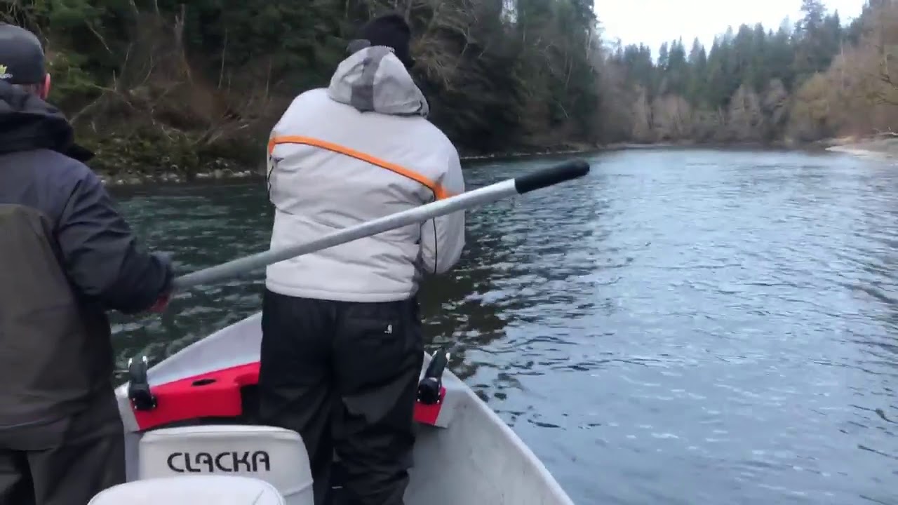 Steelhead fishing the Bogachiel river