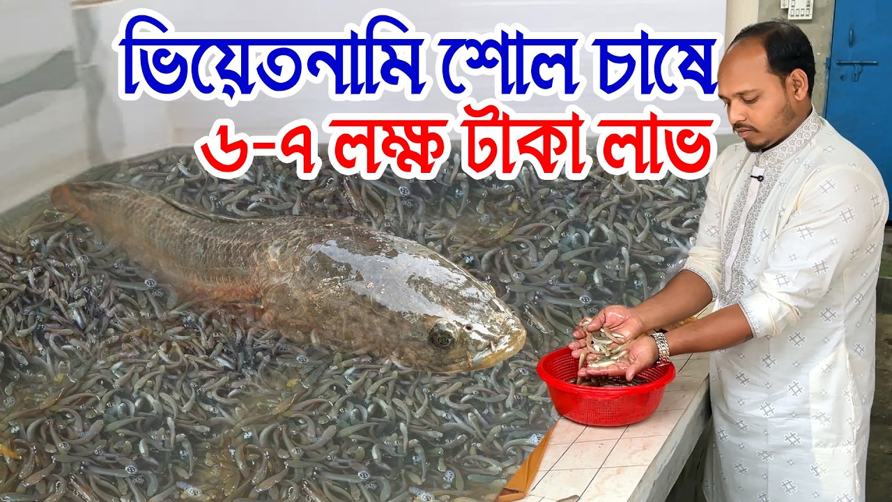 এই মাছ চাষে খরচ কম লাভ বেশি?- অল্প সময় বড় হয় | পাঁচ মাসে লাভ ৬ থেকে ৭ লক্ষ টাকা #NilBanglaKrishi