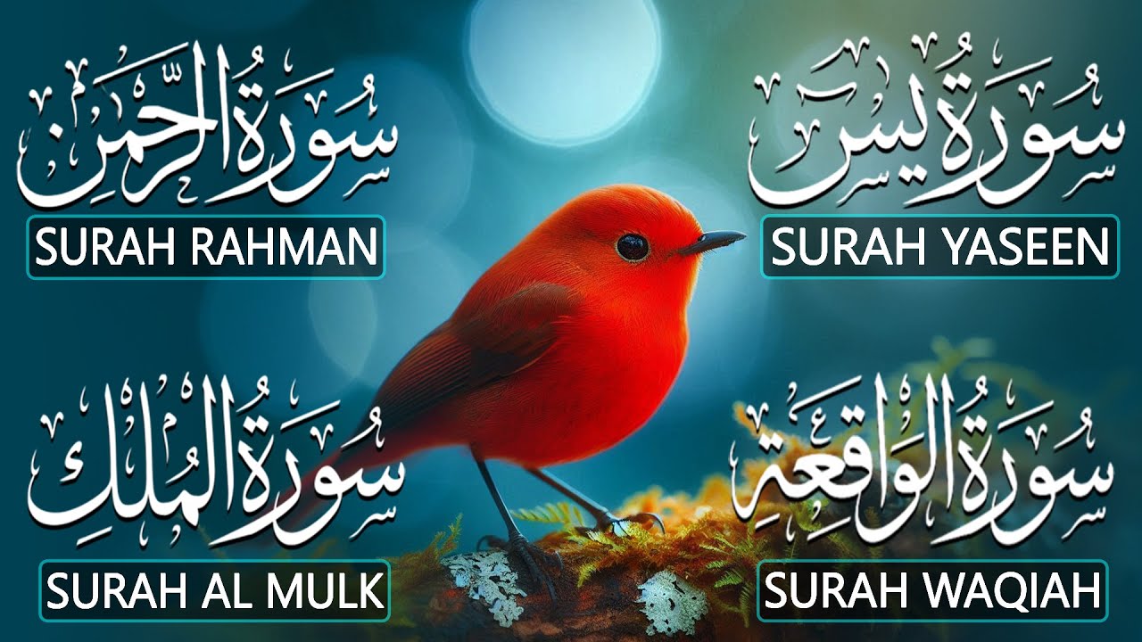 Relax Your Mind Through Quran Tilawat That Soothes Hearts | Surah Yasin  Ar-Rahman Al-Waqiah Al-Mulk