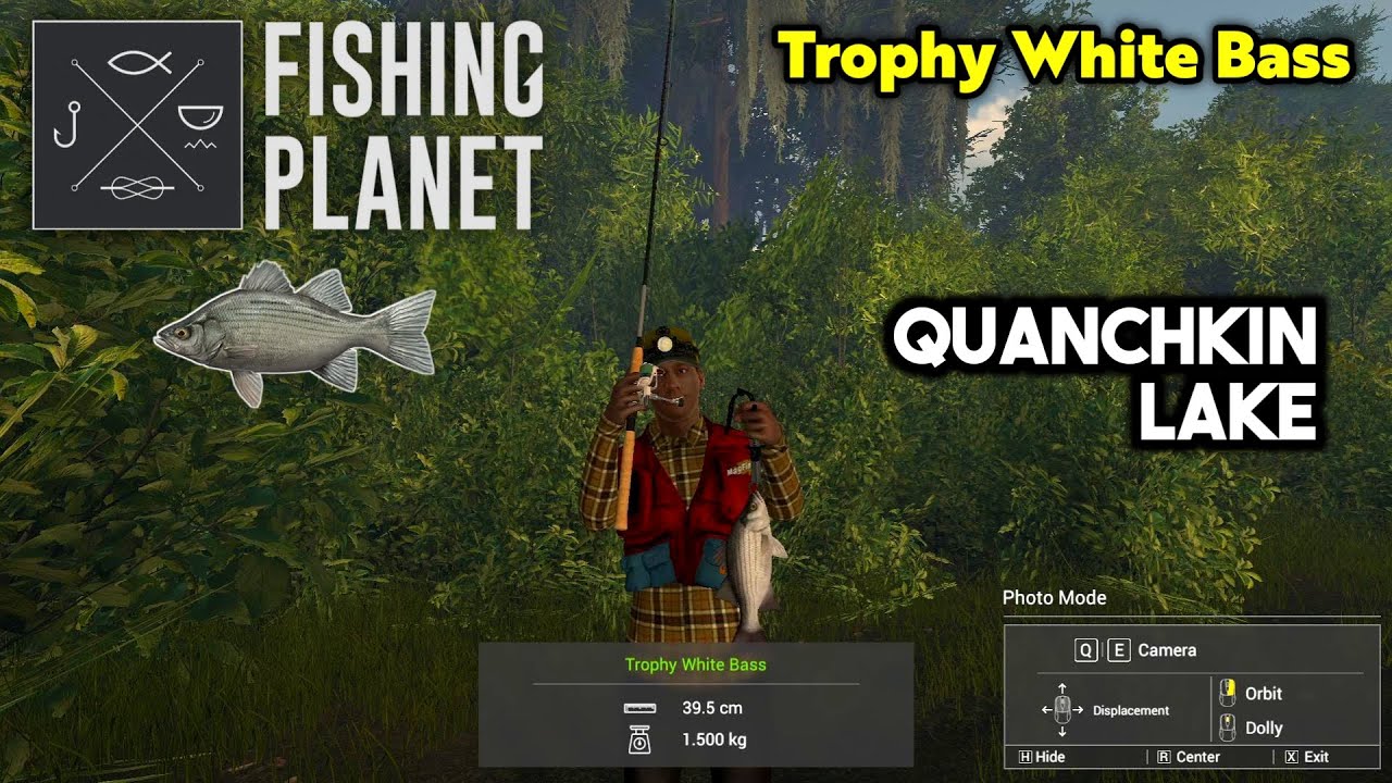 Trophy White Bass Quanchkin Lake - Fishing Planet