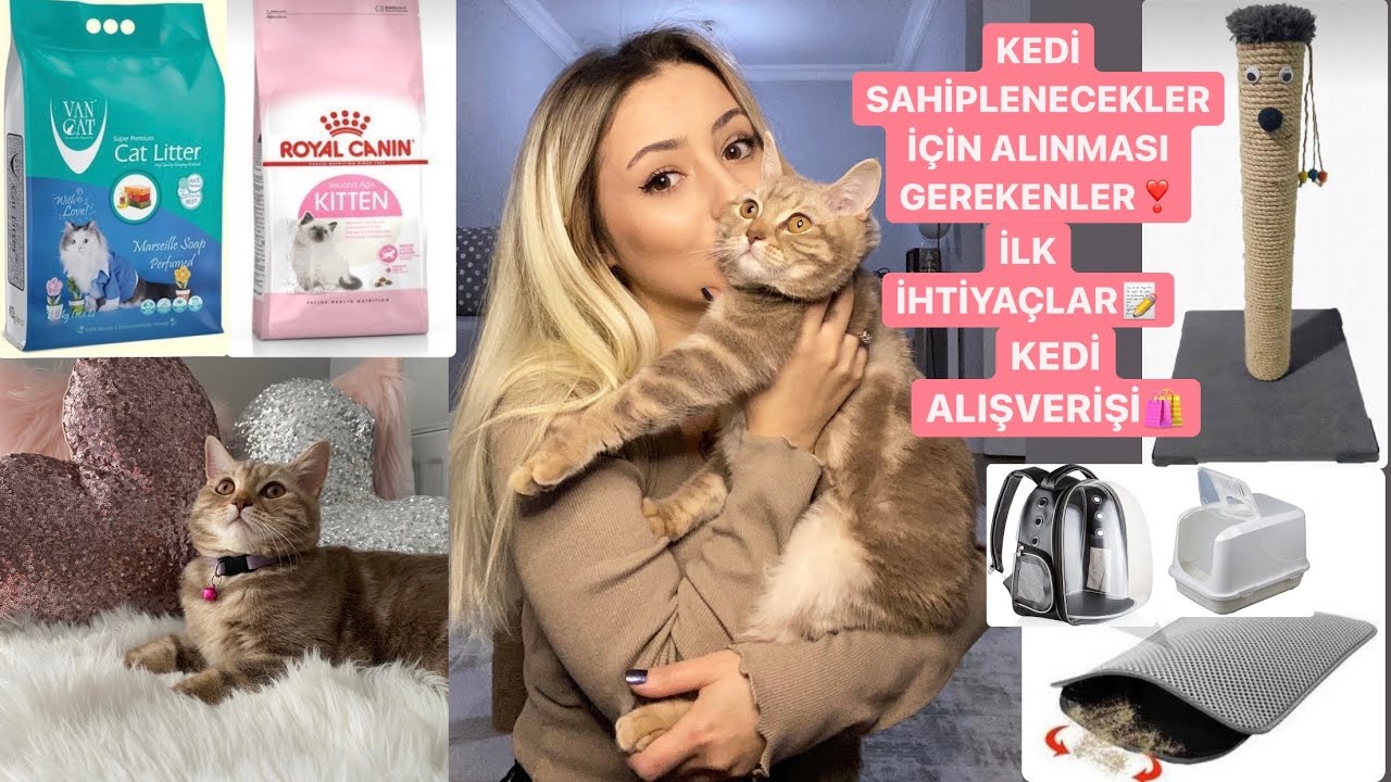 KEDİ SAHİPLENECEKLER İÇİN ALINMASI GEREKENLER | İLK İHTİYAÇLAR | KEDİ ALIŞVERİŞİ