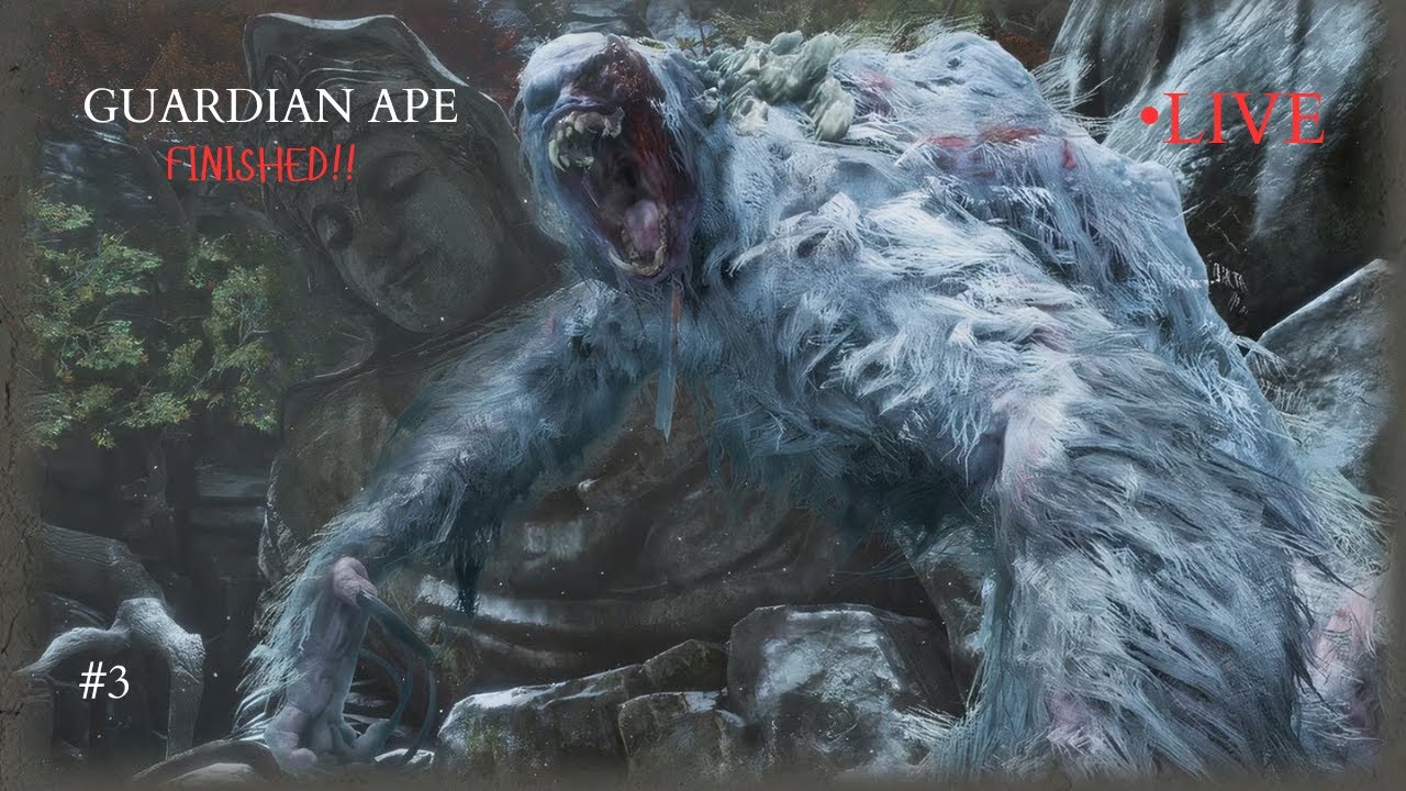 Aaj guardian ape ki Saki naka | Sekiro:Shadow Die Twice | NextPhase