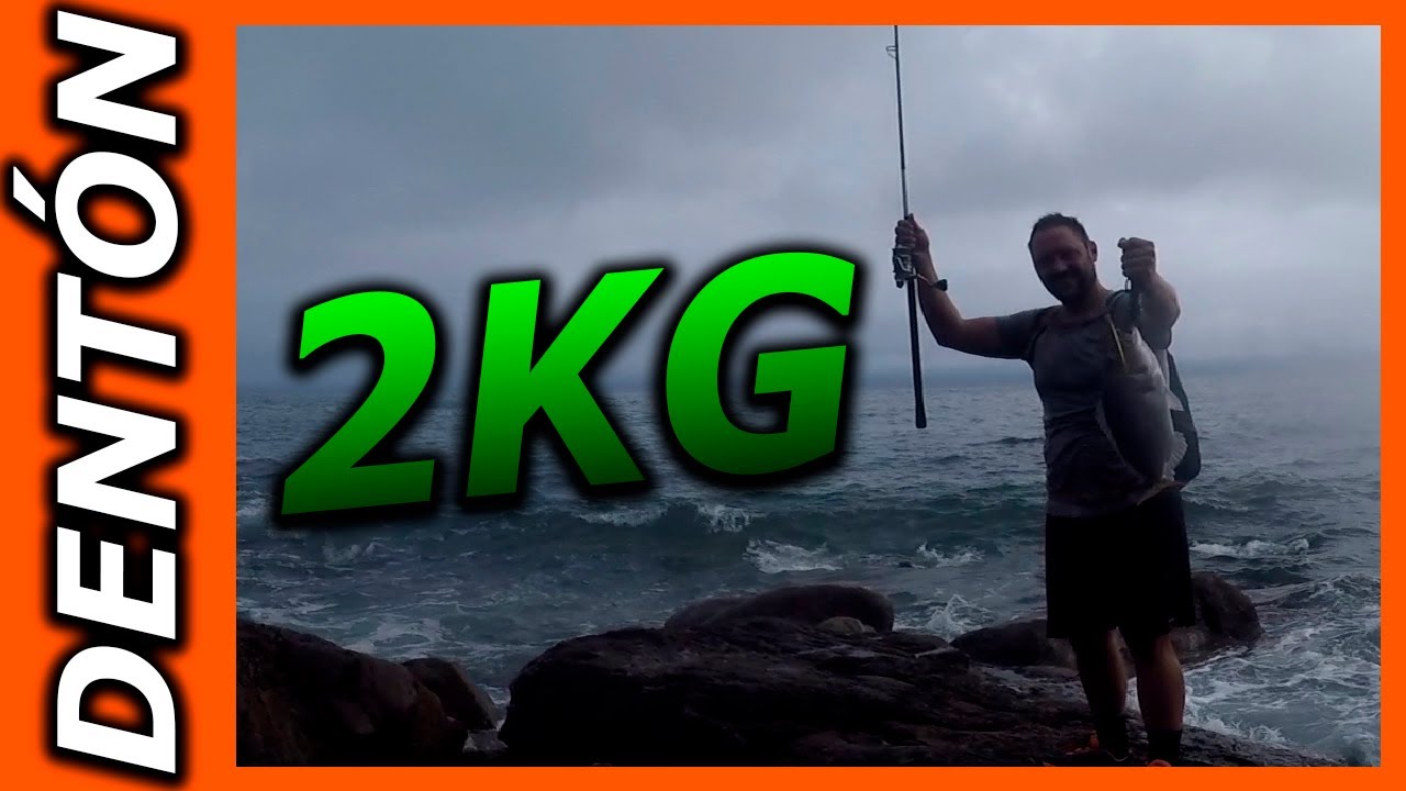 DENTON💥2020 Pescado en Asturias 2KG | Spinning en el cantabrico