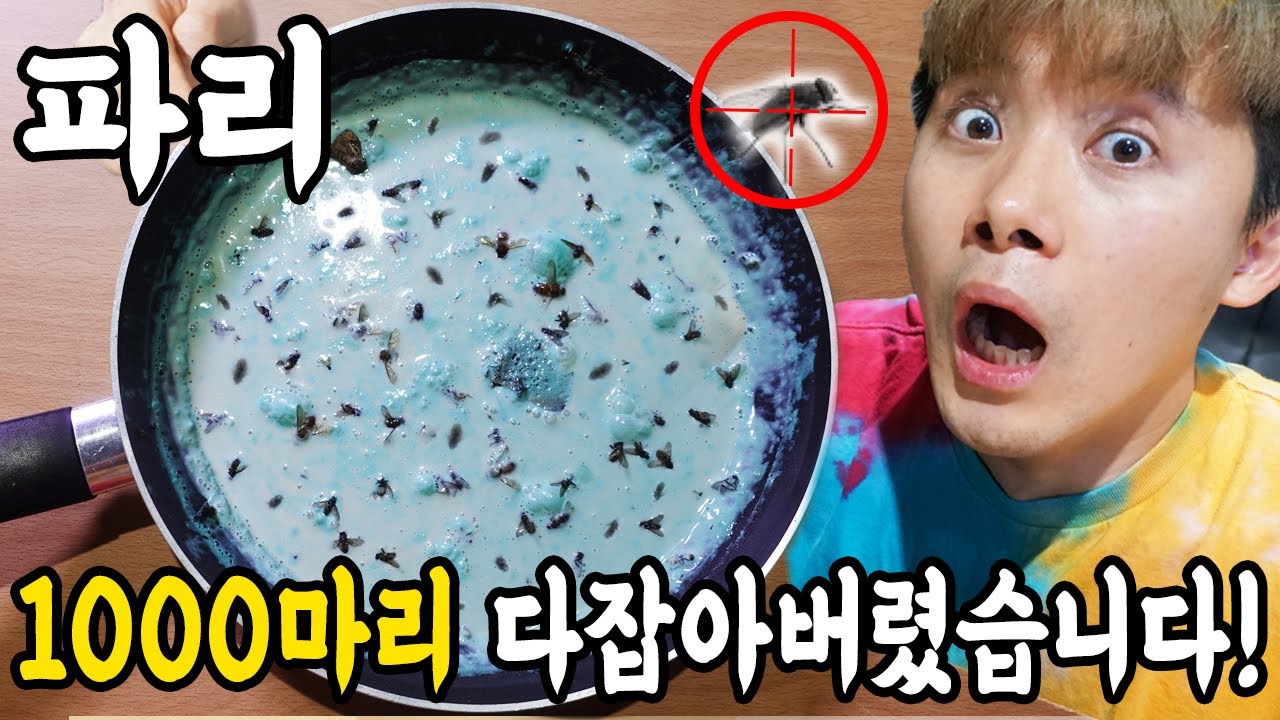 밥 먹을때마다 다가오는 파리1000마리 다잡아버렸습니다!!!