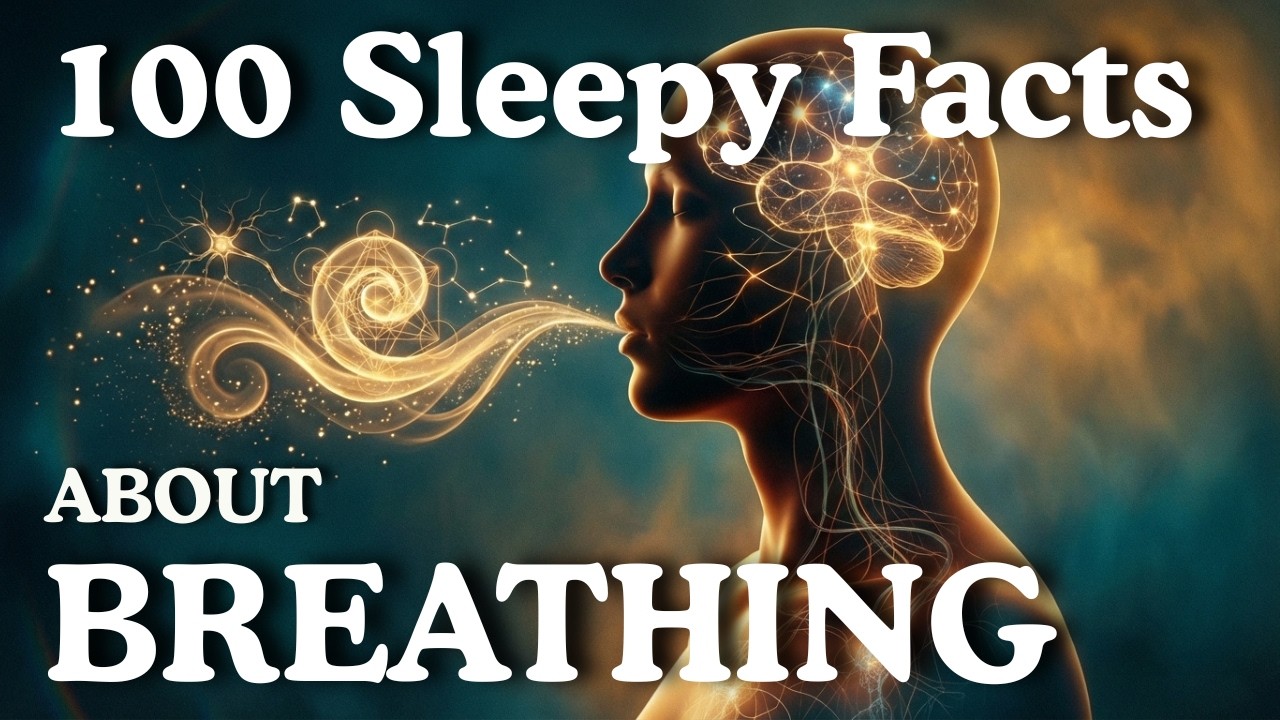 The Most Relaxing Facts About Breathing to Fall Asleep To