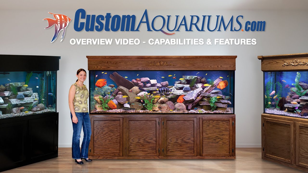 Custom Aquariums Overview Video - Capabilities & Features