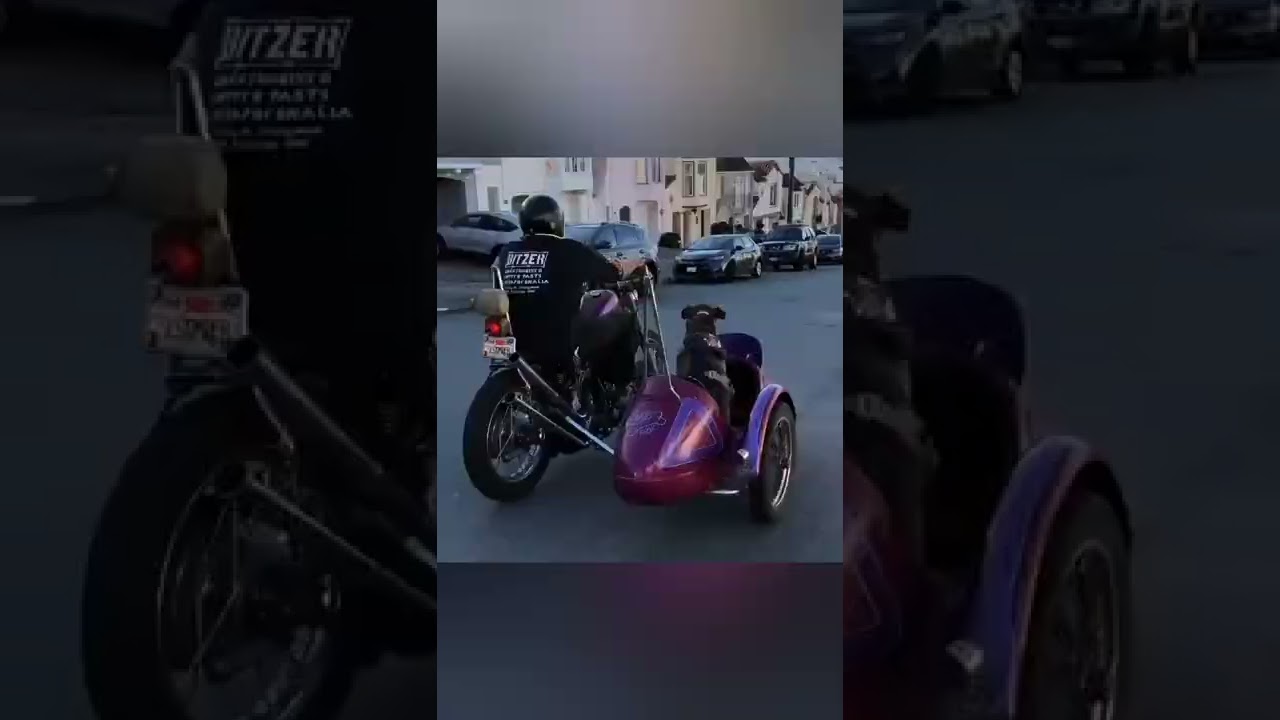 Motorcycle lifestyle, Bobbers, Choppers