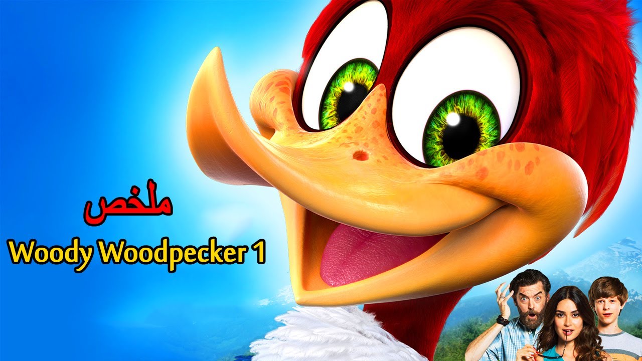 نقار خشب مشاغب يقوم بعمل مقالب 👿 على عمال يريدون تدمير بيته 😨| ملخص woody woodpecker