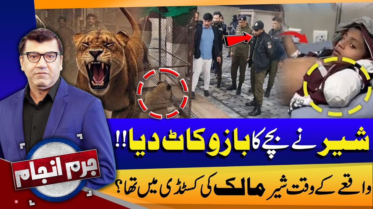 Lion Attacks Child! Shocking Revelations About Owner’s Custody During Incident | 03 Feb 2026