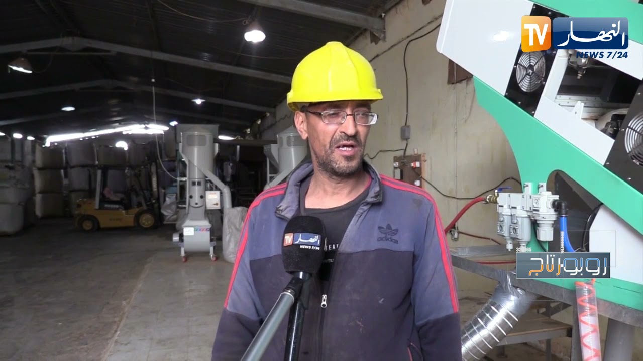 روبورتاج: نواة المشمش.. مصدر معيشي ومادة لإنتاج زيت اللوز