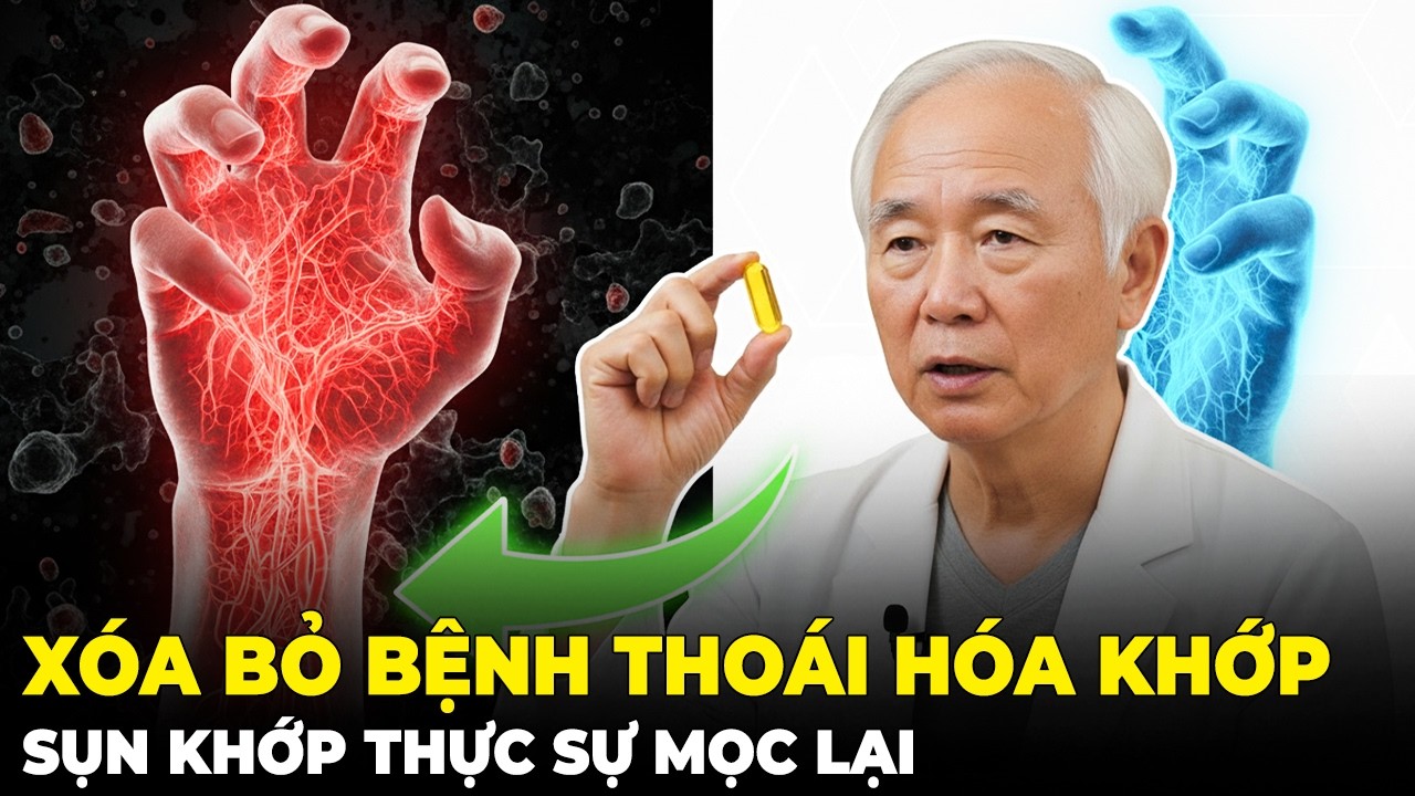 Chấm Dứt Bệnh Lý Thoái Hóa Khớp? Các Nhà Khoa Học Công Bố Cách Tái Tạo Sụn Khớp