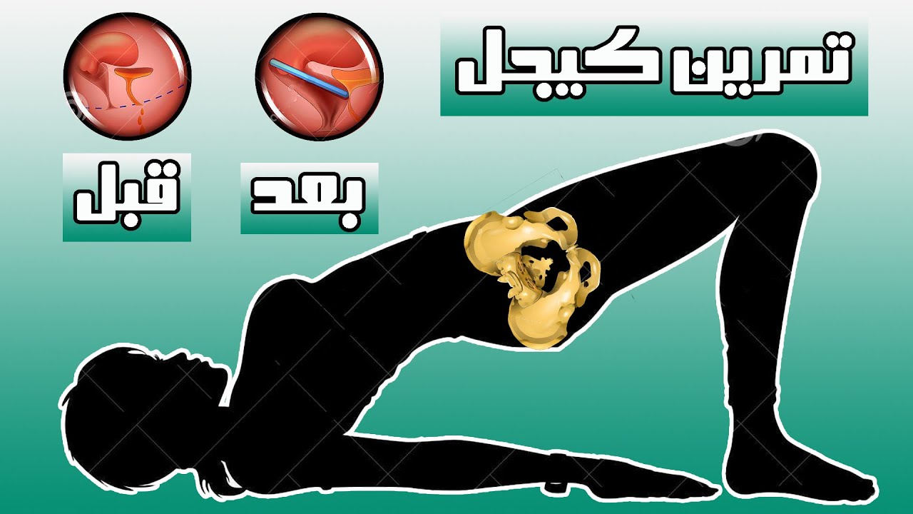 تمرين كيجل للنساء لرفع تدلي الرحم للمبتدئين kegel for women