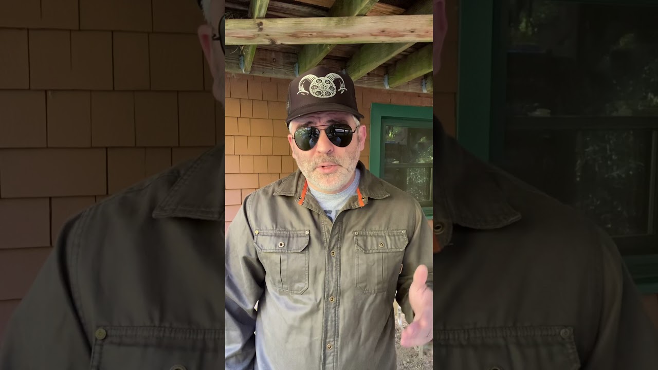 MAGGOT MAILING LIST VIDEO #6 - Sew Sorry & Audio Book(s)