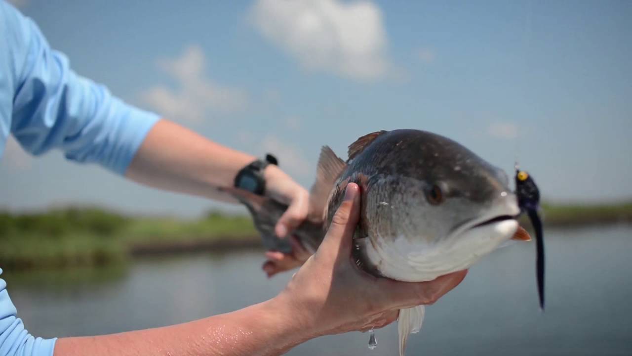 Fly Fishing New Orleans, Louisiana - Southern Fly Expeditions