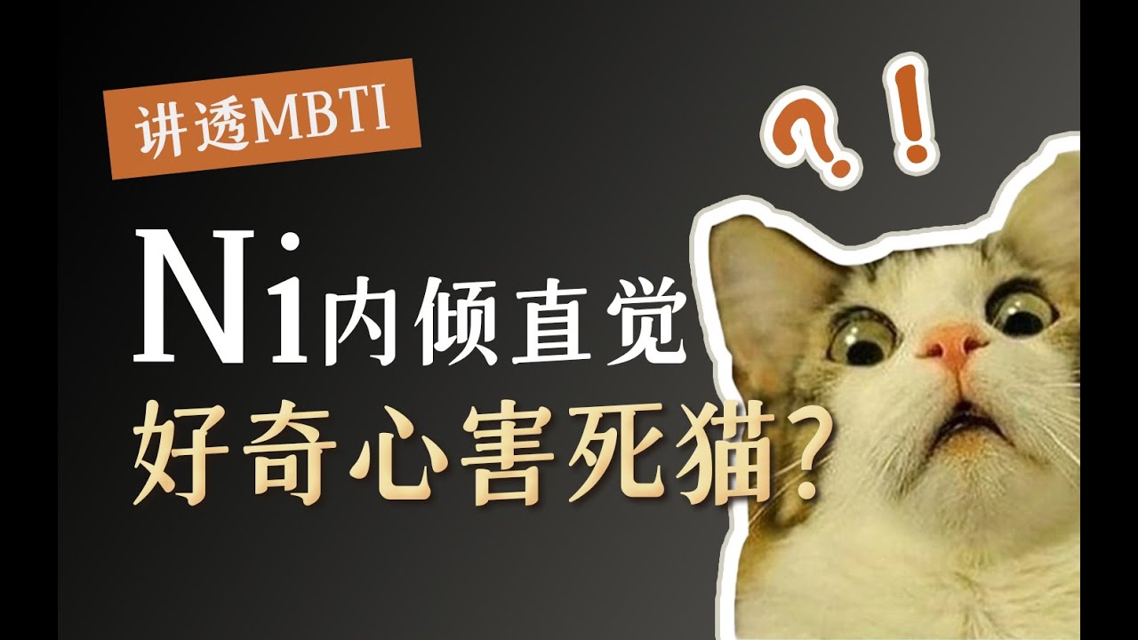 【MBTI】Ni，好奇心害死猫？进入INFJ的双重宇宙