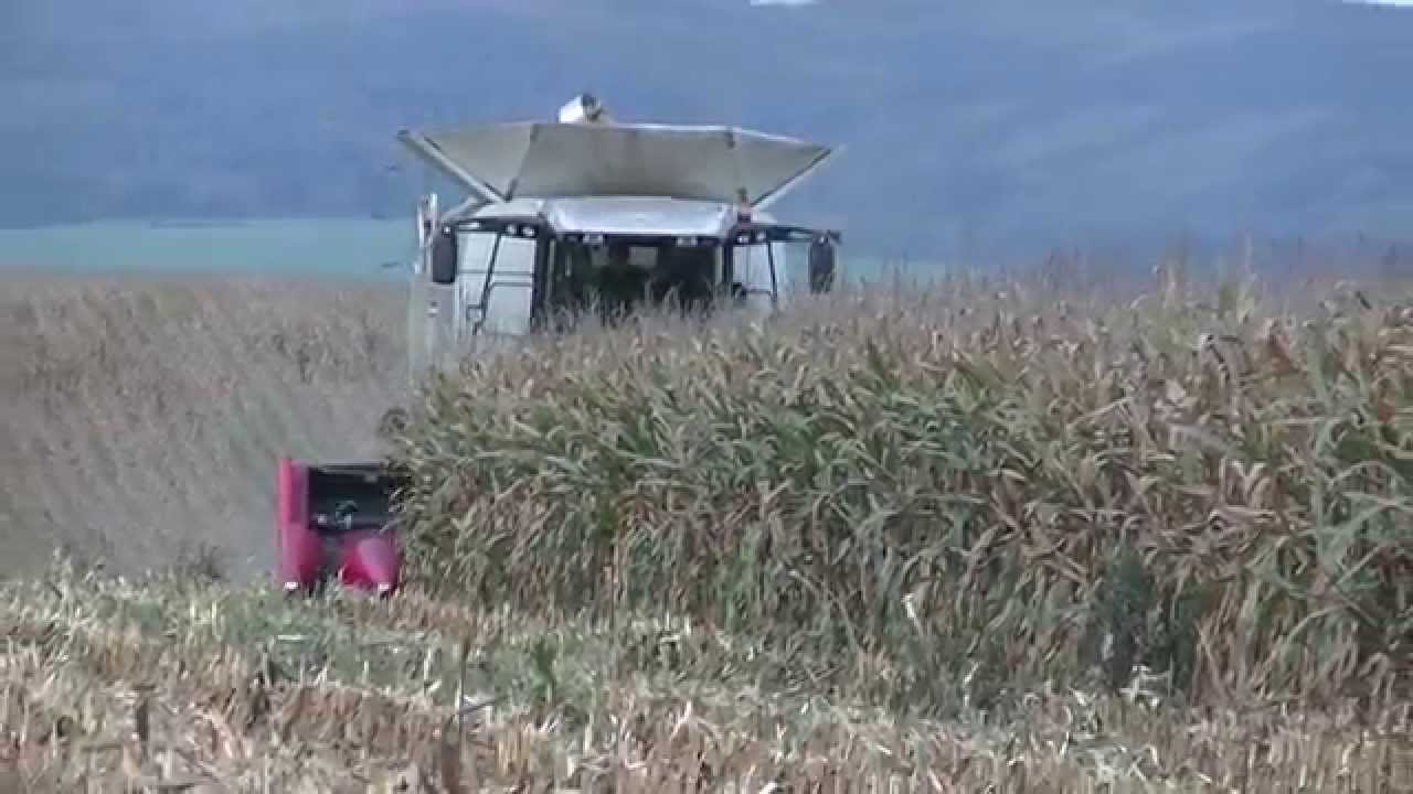 Lexion z Žichlínku v Třebařově