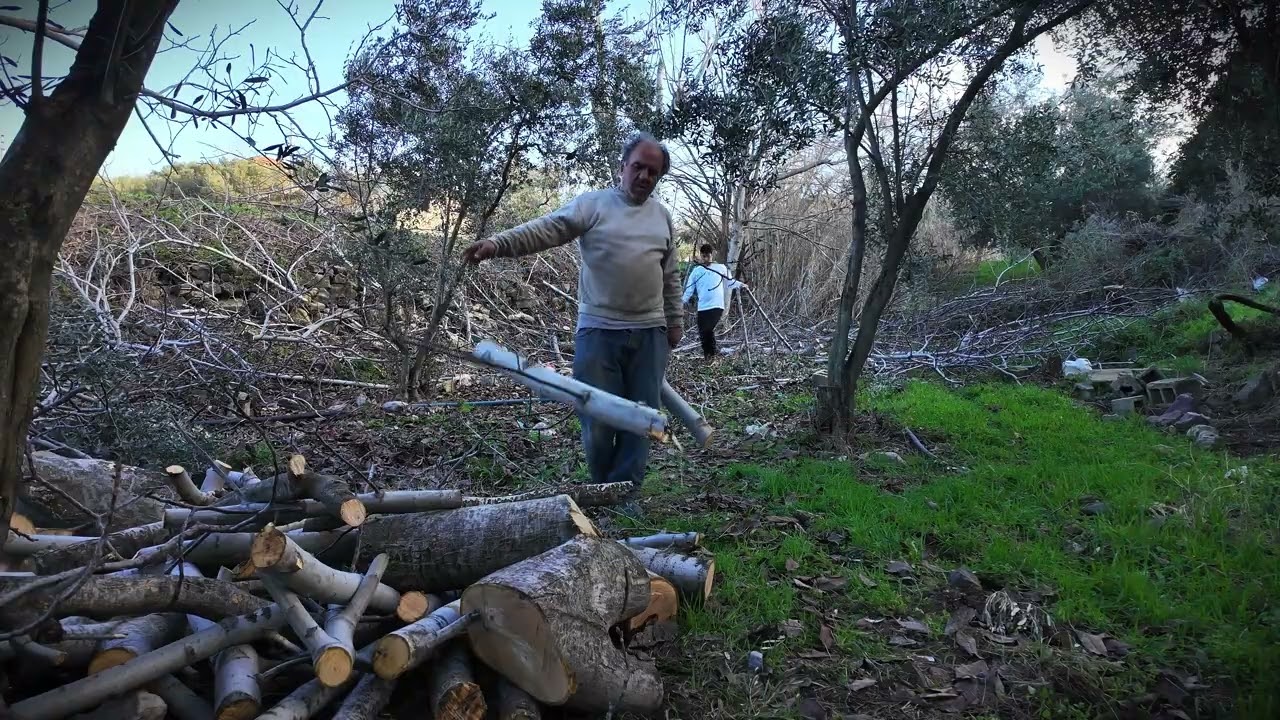 Relaxing Village Life: Carrying Walnut Firewood ASMR (No Talking) | 45 Min Real Time Winter Prep