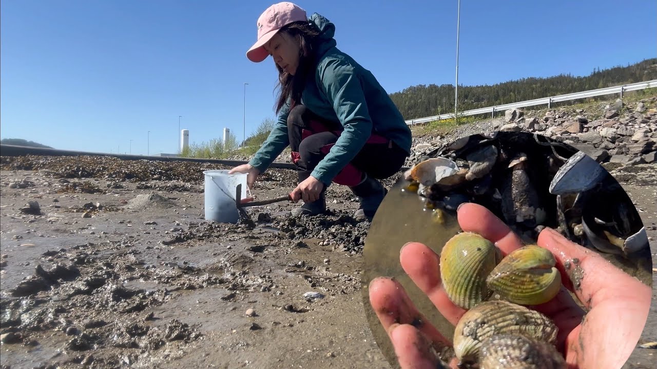 Хорошая погода, пойдем к морю ловить крупных ракушек. 19.05.25