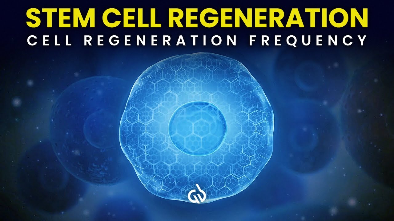 Stem Cell Regeneration Frequency for Adults: Regenerate Cells, Stem Cell Subliminal