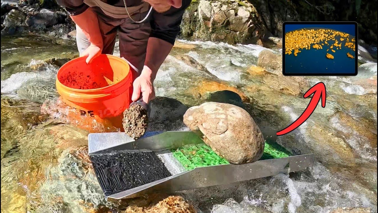 Sluicing & Sniping for GOLD in NZ!