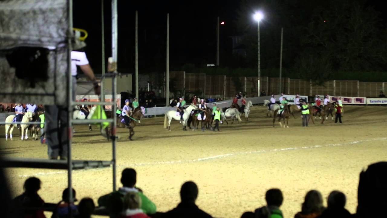 Pony-Games Championnat du Monde 2014