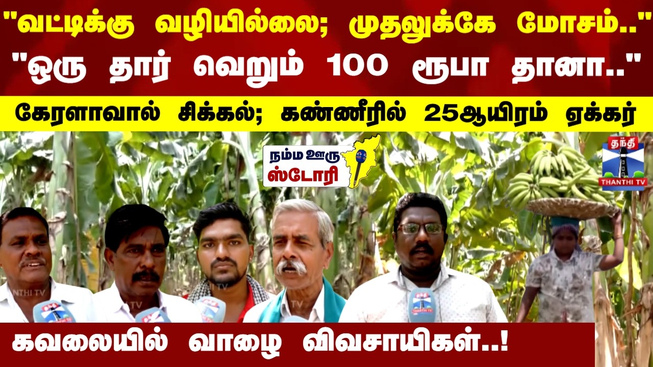 Namma Ooru Story | சாகுபடி அதிகம்.. சந்தை இல்லை..  நேந்திரம் விலை வீழ்ச்சி.. வேதனையில் விவசாயிகள்..