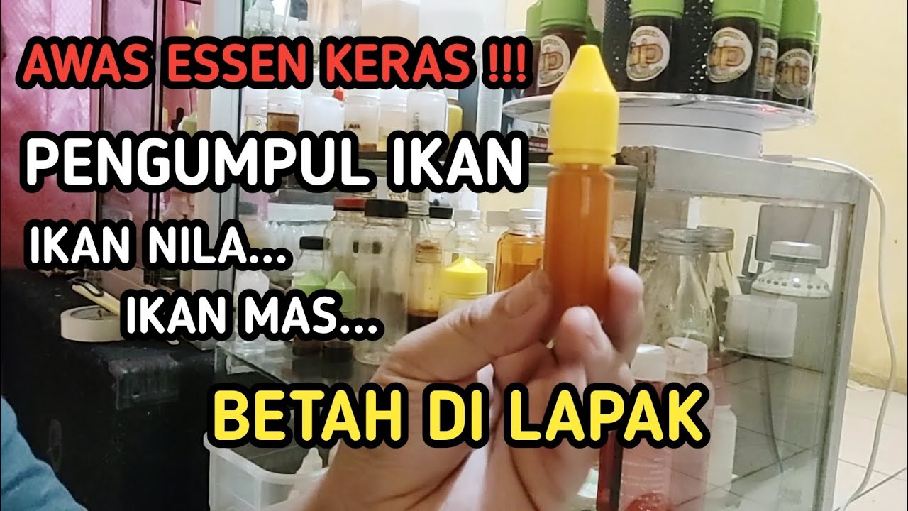 MERACIK ESSEN KERAS SPESIAL PENGUMPUL IKAN (PERLIC) || KHUSUS DANAU || MANCING