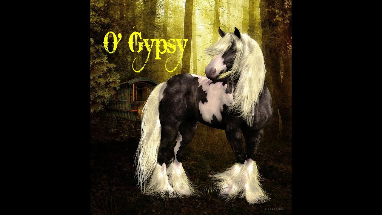 O'Gypsy   Colin J Mackey