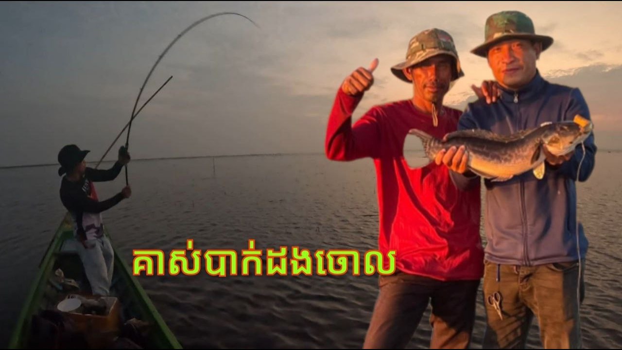 បឹងទន្លេរសាបត្រីខាំច្រើន | Catching a Giant Snakehead with a Frog Lure!