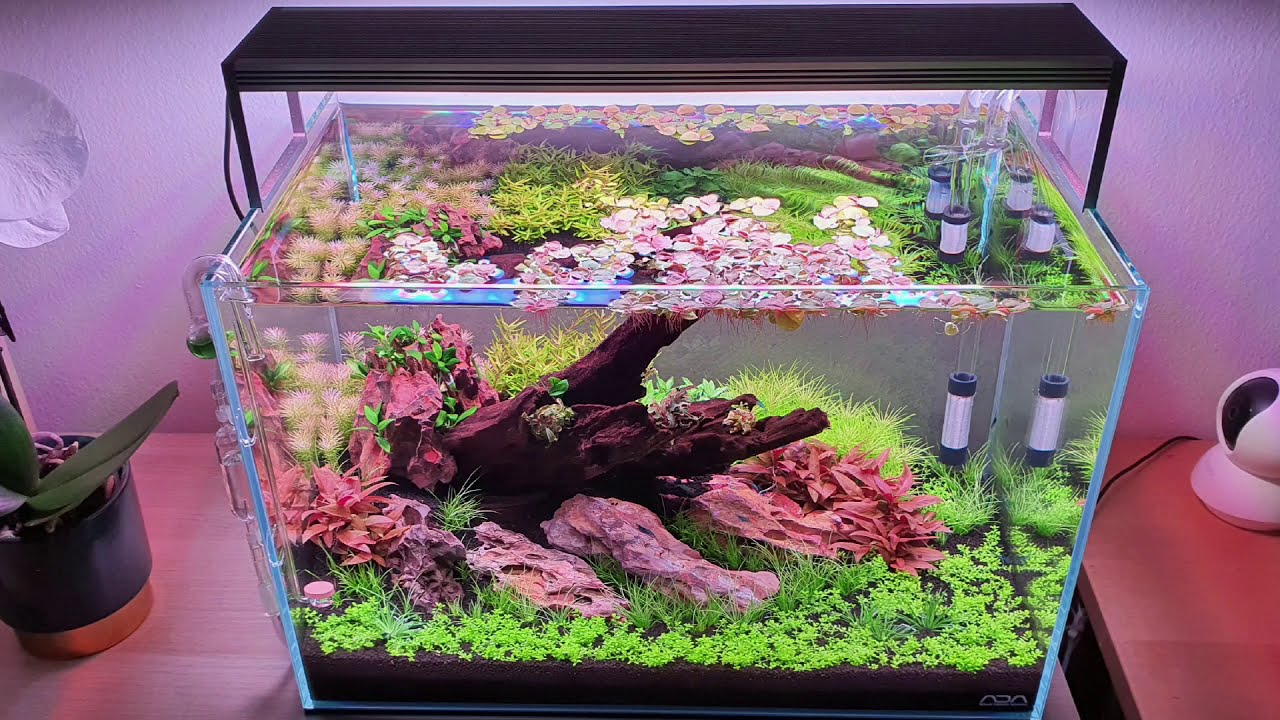 Aquarium | Ratisbona-Blue | ADA 45 P | Twinstar III 450SM