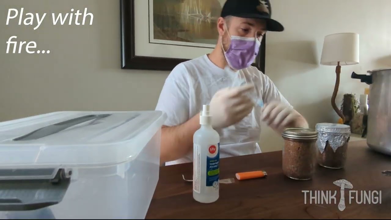 Grow Mushrooms at Home (teaser)