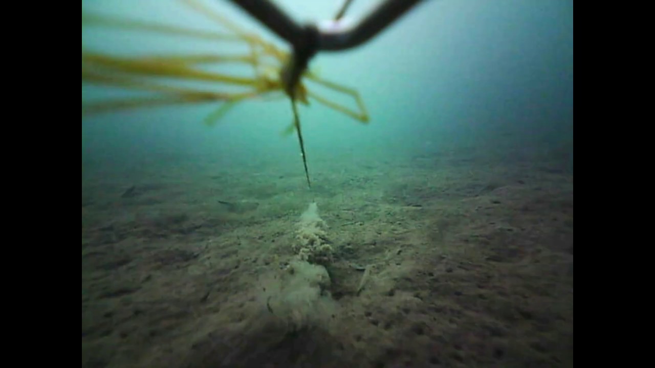 Feature finding with the FishSpy underwater fishing camera